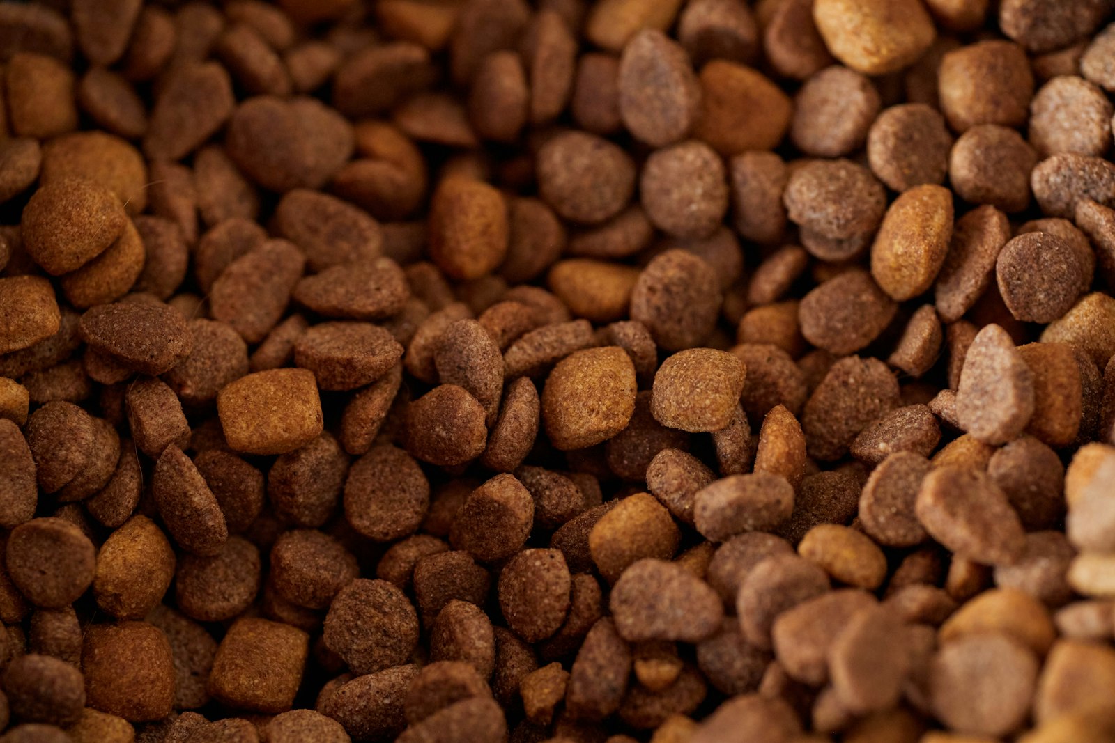 Puppy Starter Dry Food - Growth Formula
